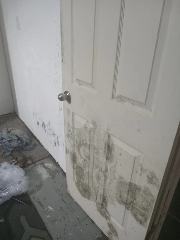 Slide of Elite 1 Restoration