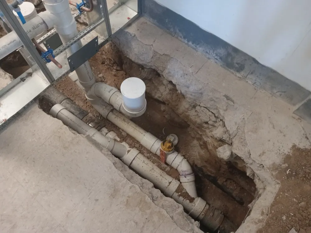 Slide of Elite 1 Restoration