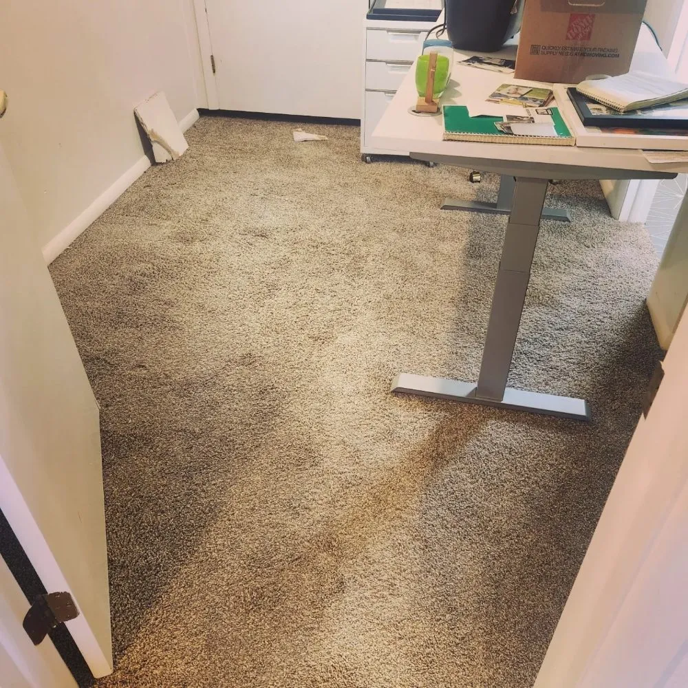 Slide of Elite 1 Restoration