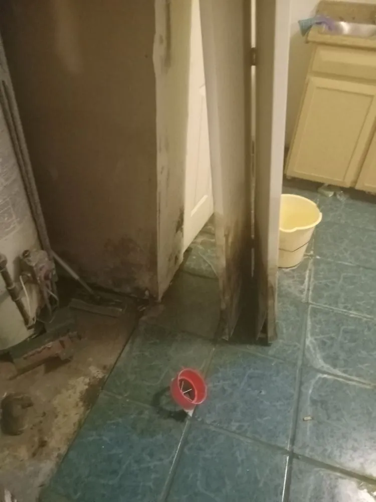 Slide of Elite 1 Restoration