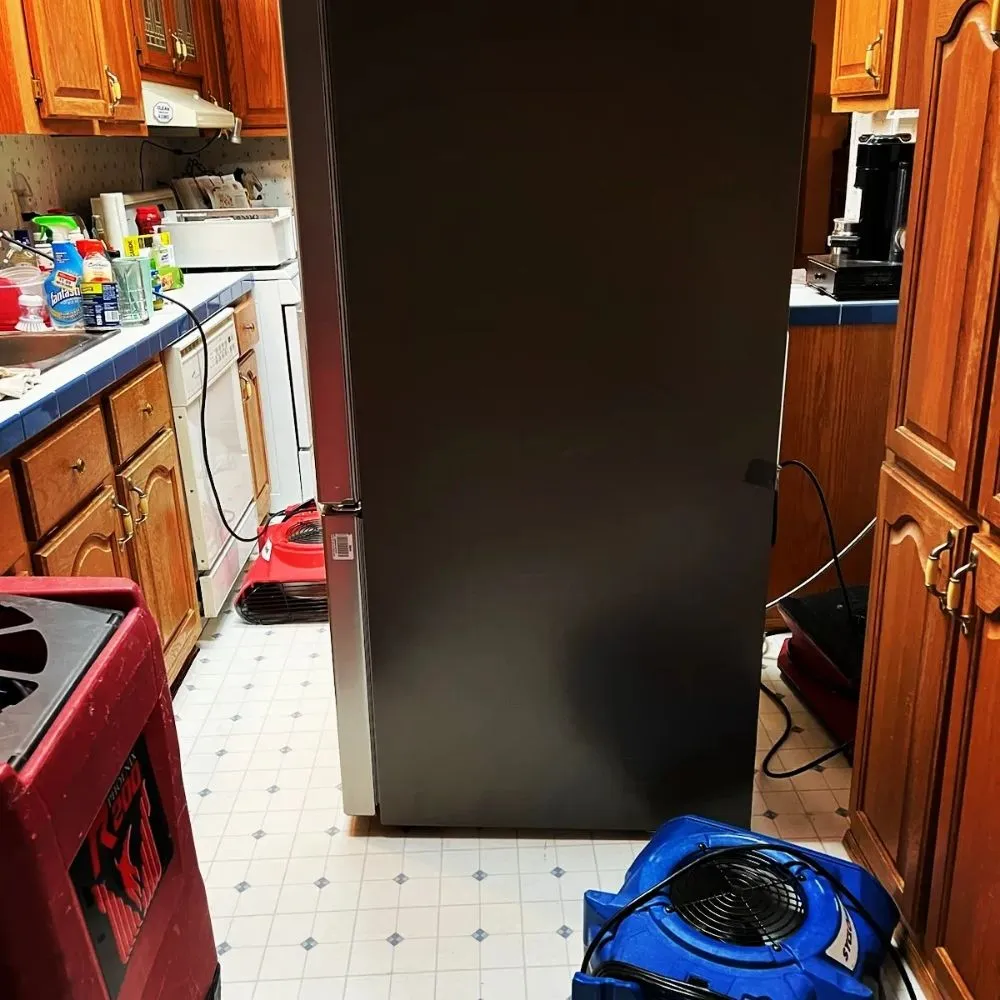 Slide of Elite 1 Restoration