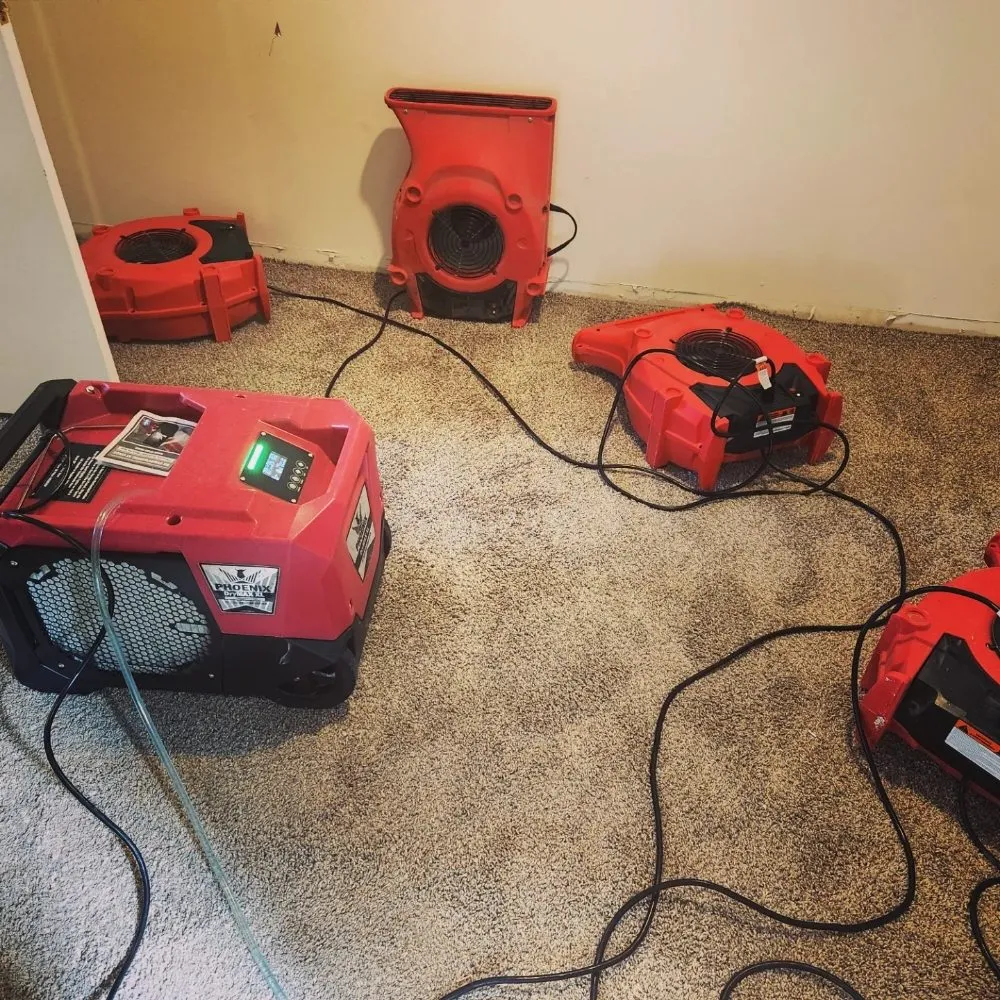 Slide of Elite 1 Restoration