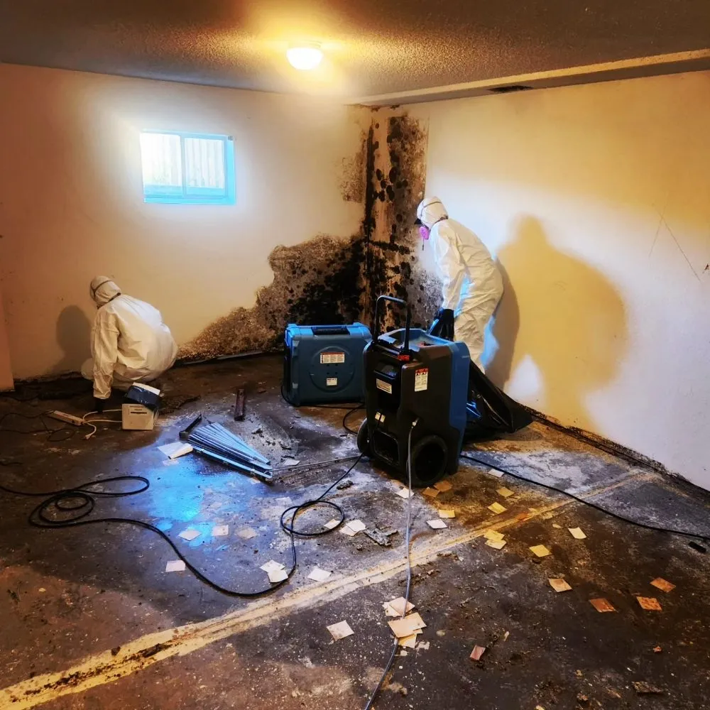 Slide of Elite 1 Restoration