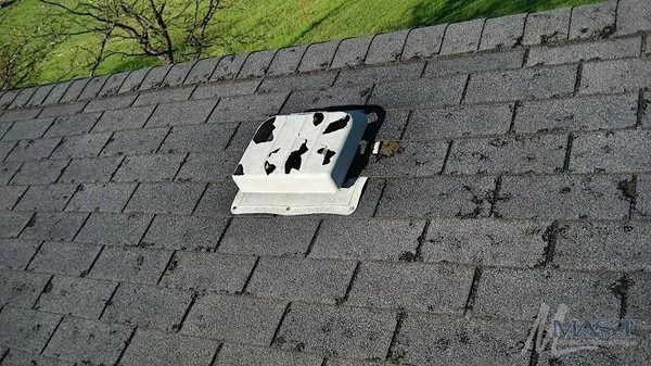 Elite Construction Services