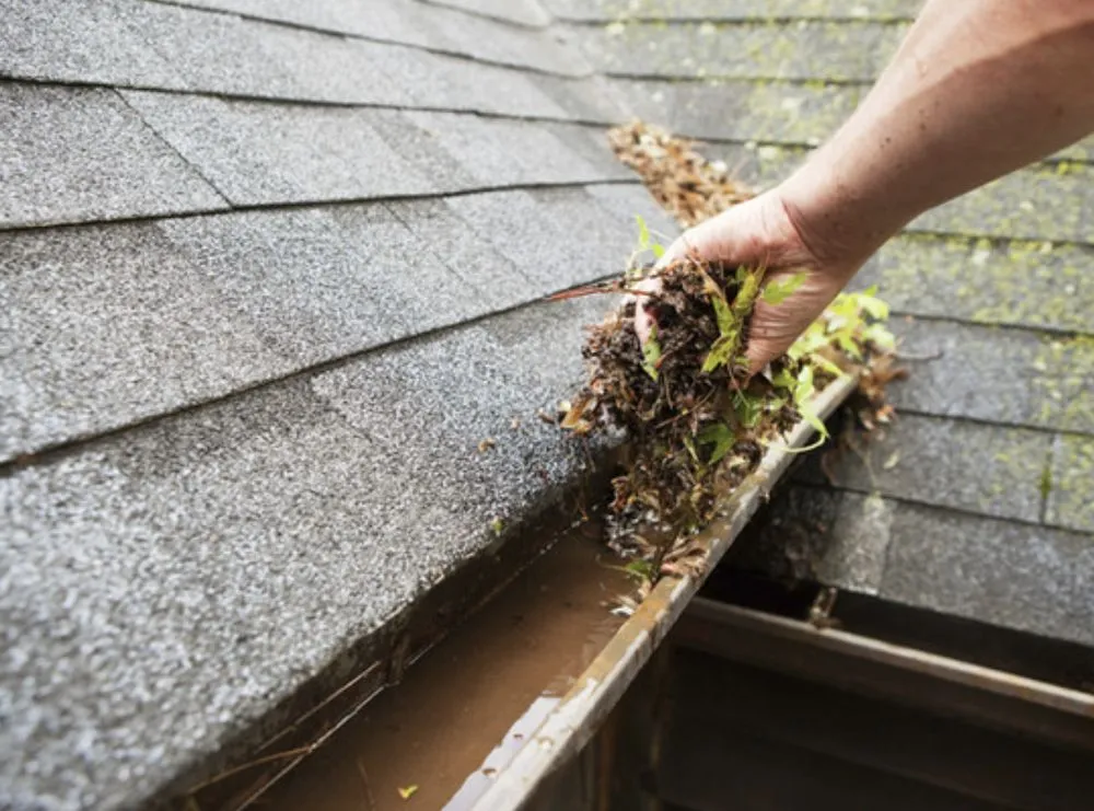 Slide of Elite Construction Solutions