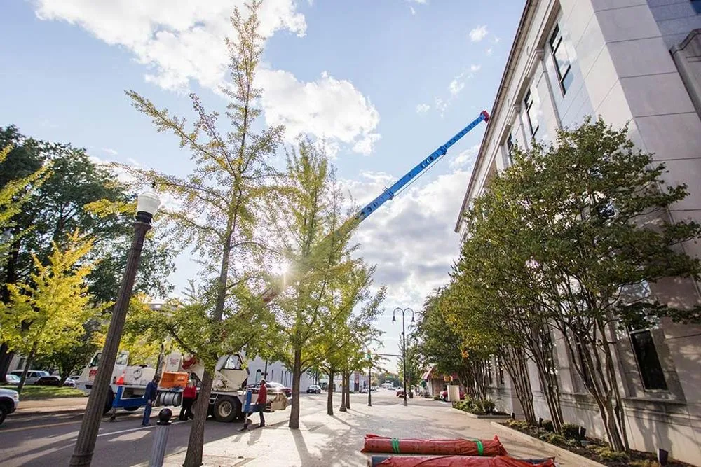 Slide of Elite Contractors