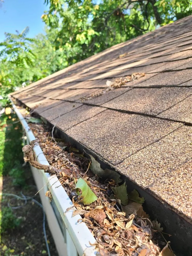 Slide of Elite exterior cleaning ICT