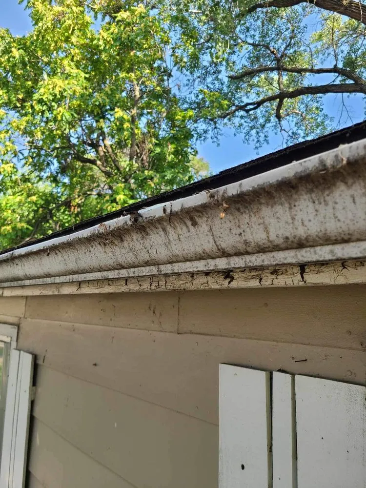 Slide of Elite exterior cleaning ICT