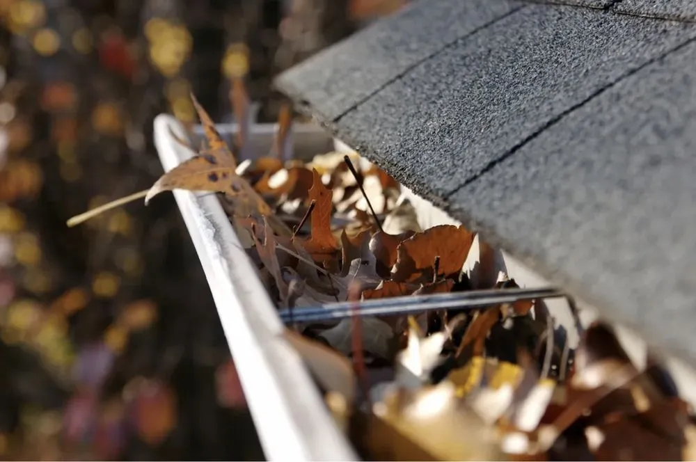 Slide of Elite Exterior Services