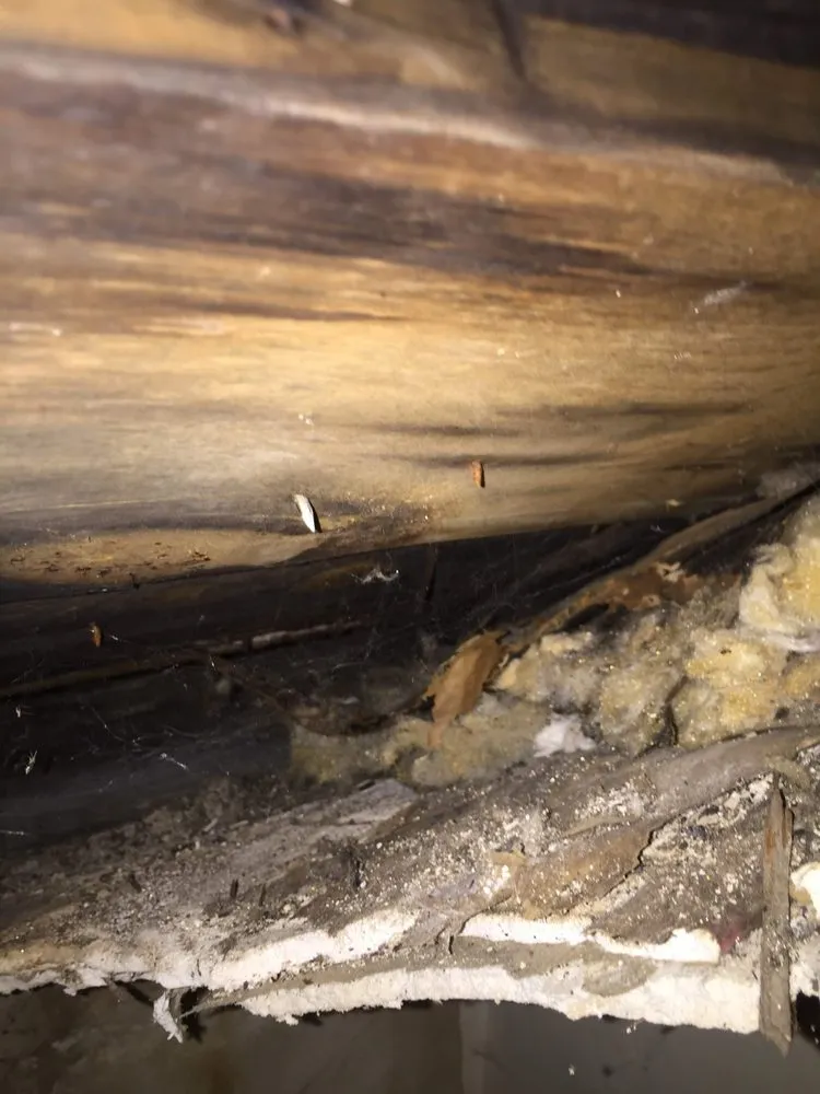 Slide of Elite Exteriors