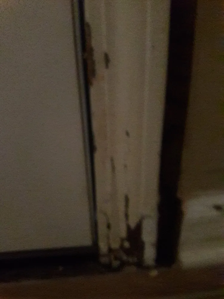 Slide of Elite Exteriors Roofing & Restoration