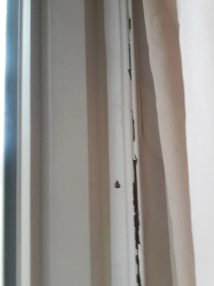 Slide of Elite Exteriors Roofing & Restoration