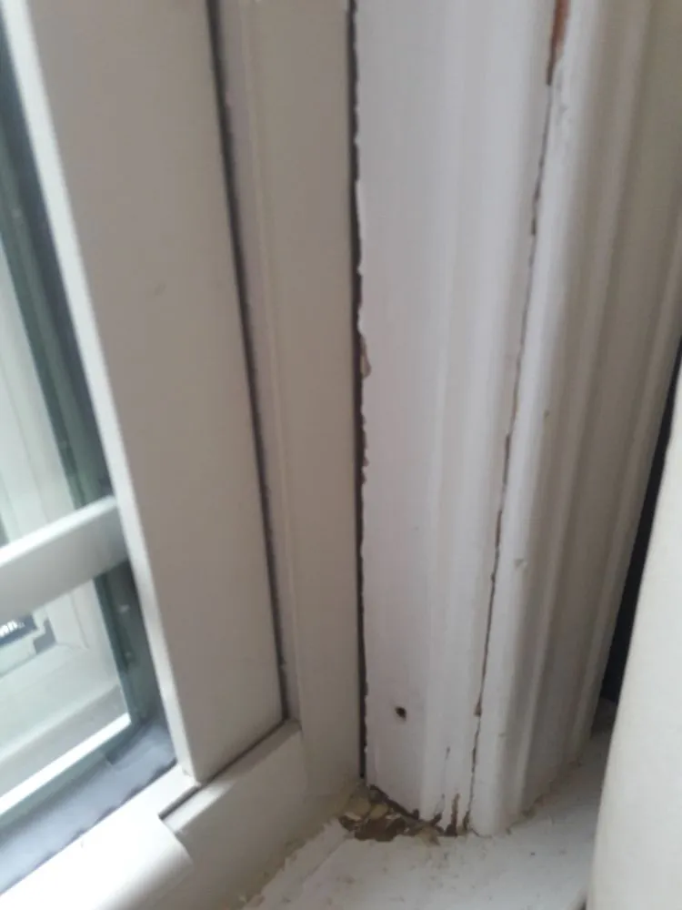 Slide of Elite Exteriors Roofing & Restoration