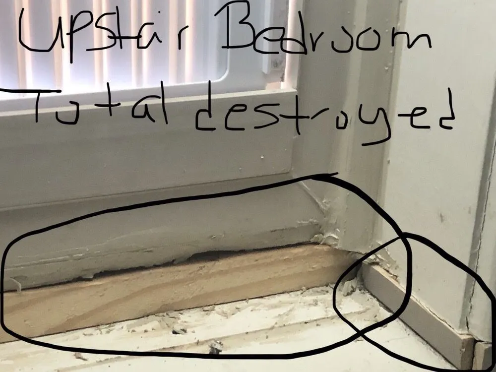 Slide of Elite Exteriors Roofing & Restoration