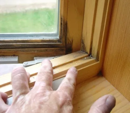 Slide of Elite Home Services