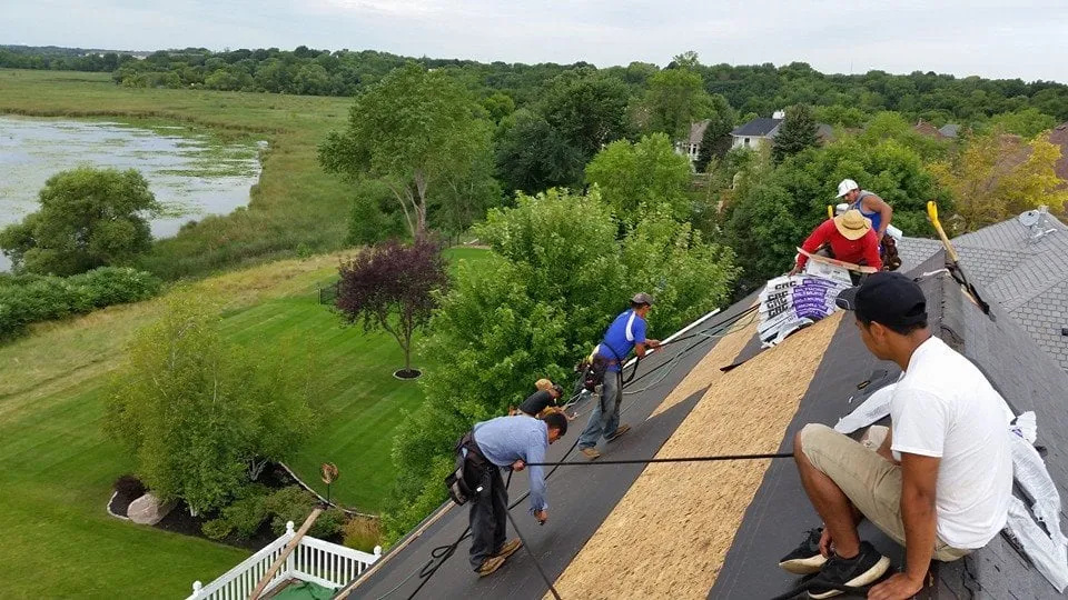 Slide of Elite Restoration Pro