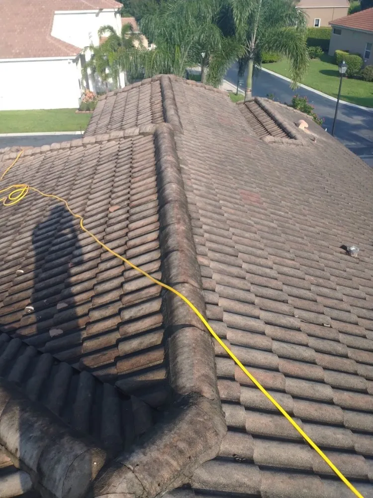 Slide of Elite Roof Cleaning