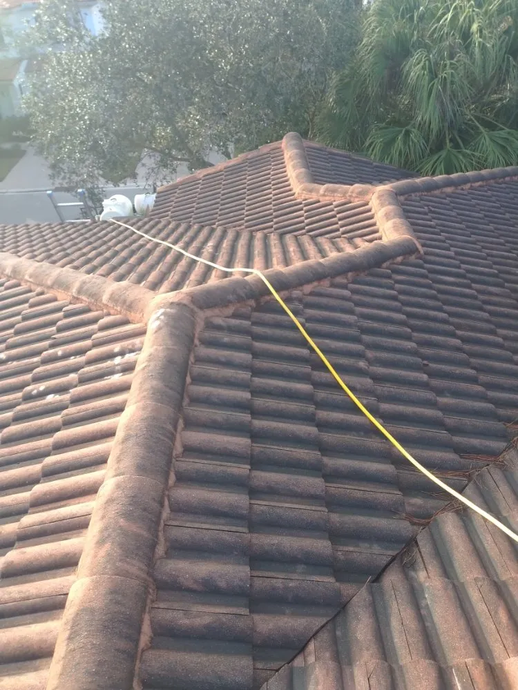 Slide of Elite Roof Cleaning