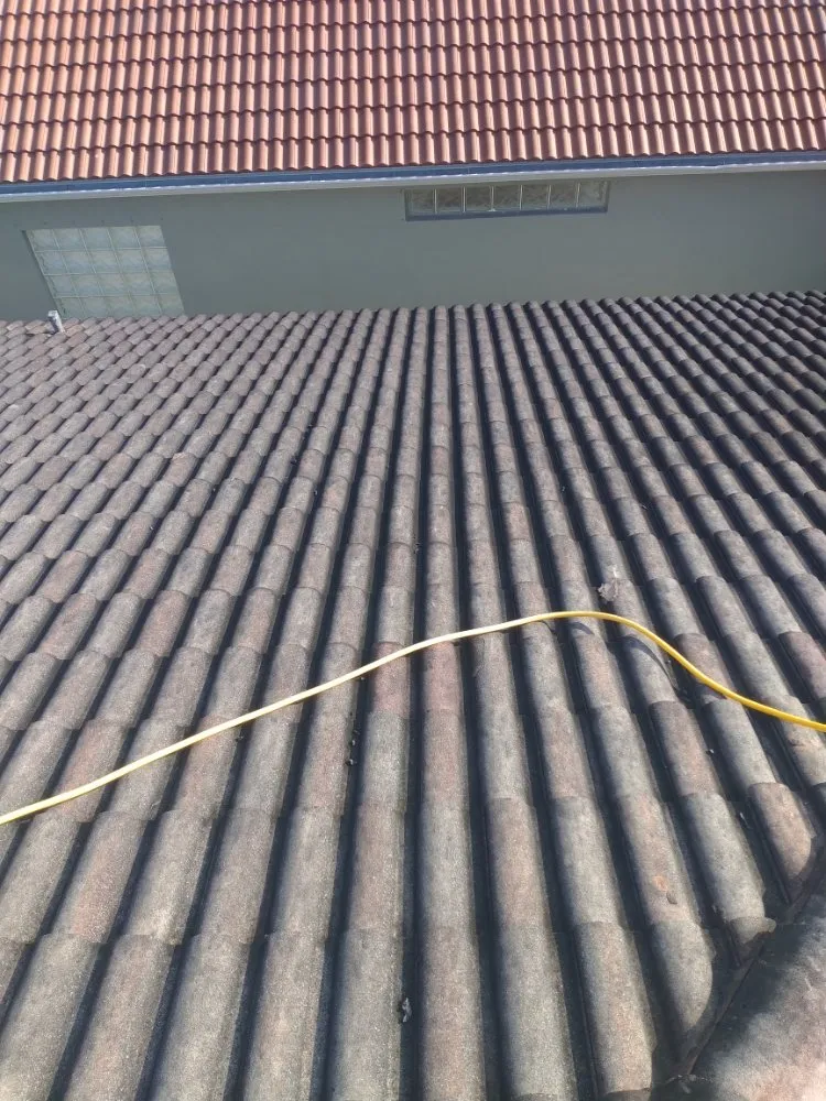 Slide of Elite Roof Cleaning