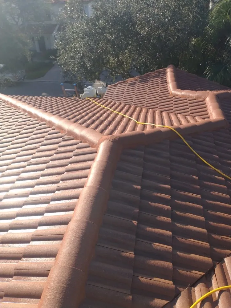 Slide of Elite Roof Cleaning