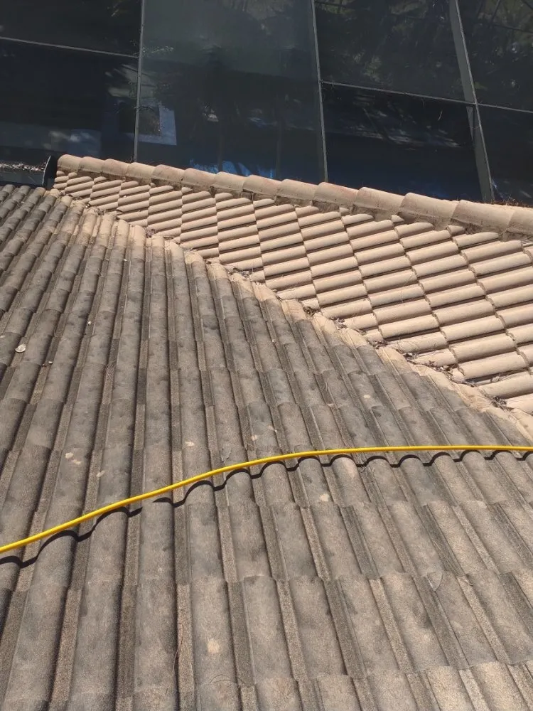 Slide of Elite Roof Cleaning
