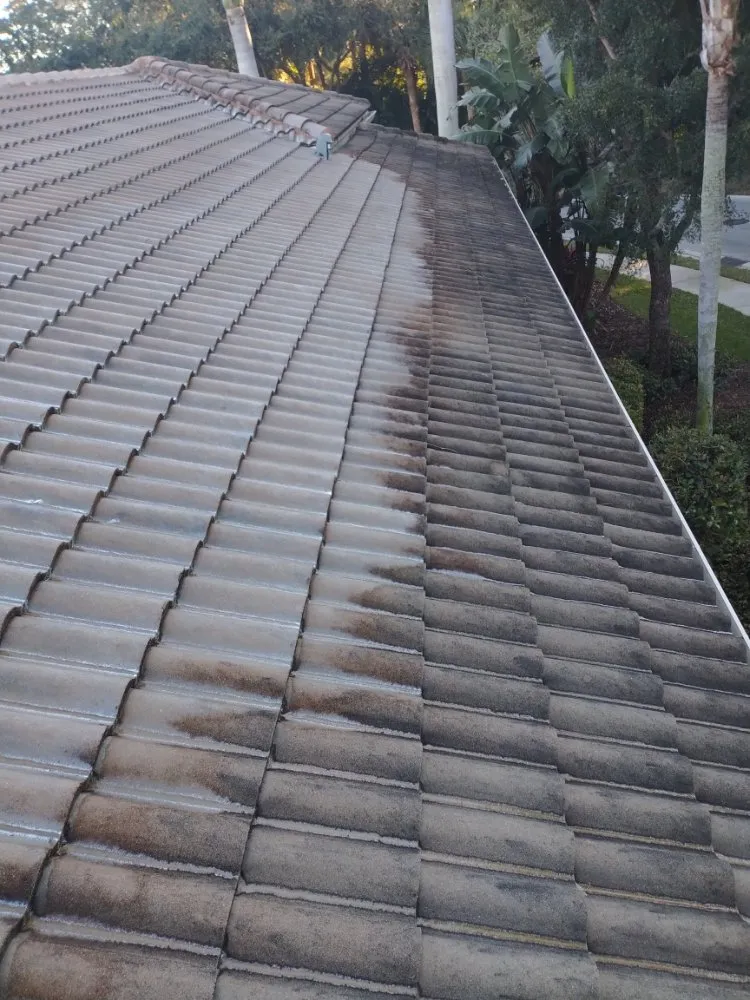Slide of Elite Roof Cleaning