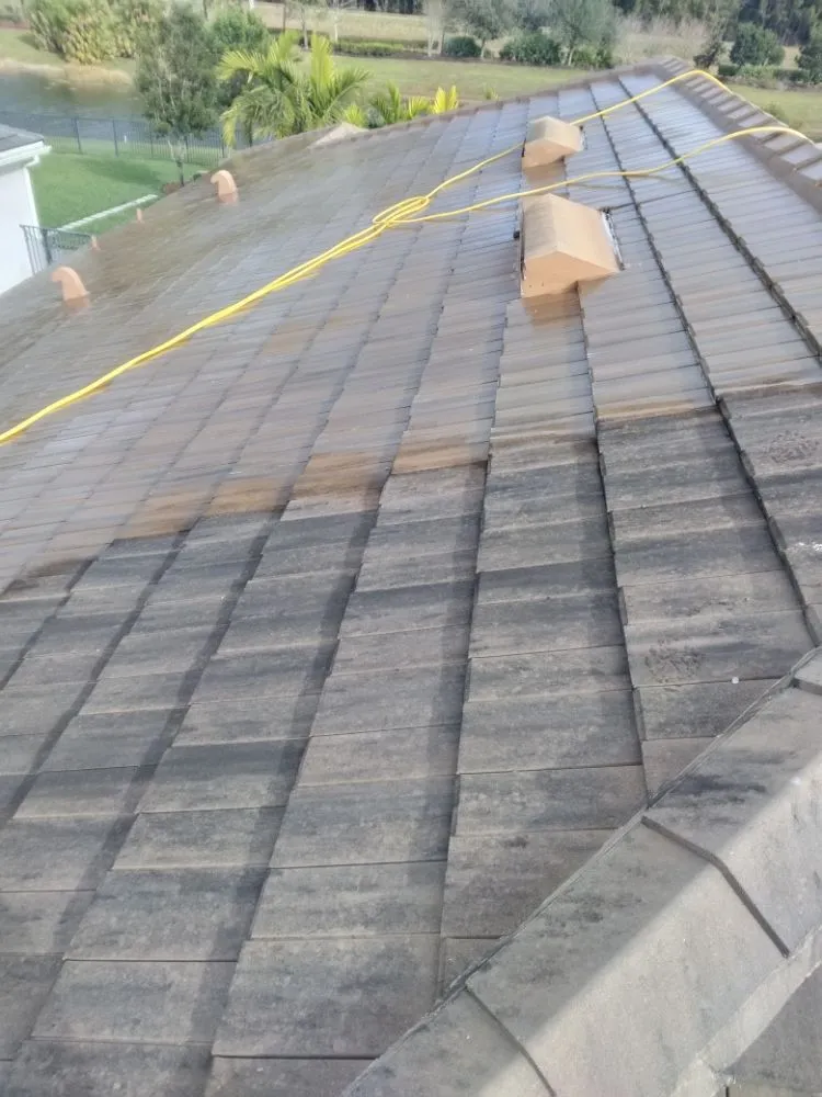 Slide of Elite Roof Cleaning