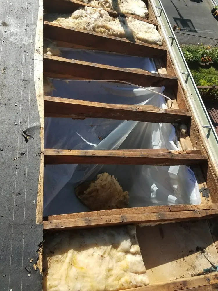 Slide of Elite Roofing & Restoration