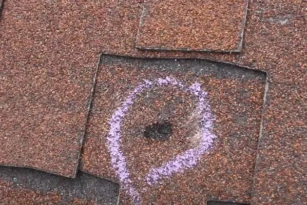 Elite Roofing & SheShedz