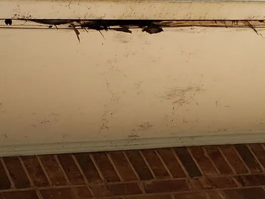 Elite Roofing and Restoration Logo