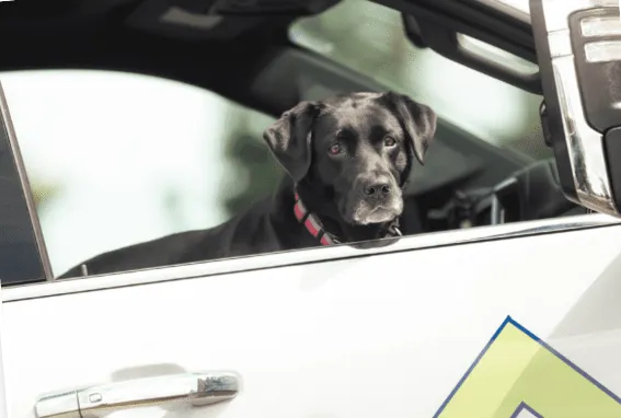 Slide of Elite Roofing