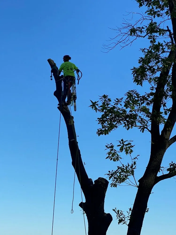 Slide of Elite Seamless Gutters