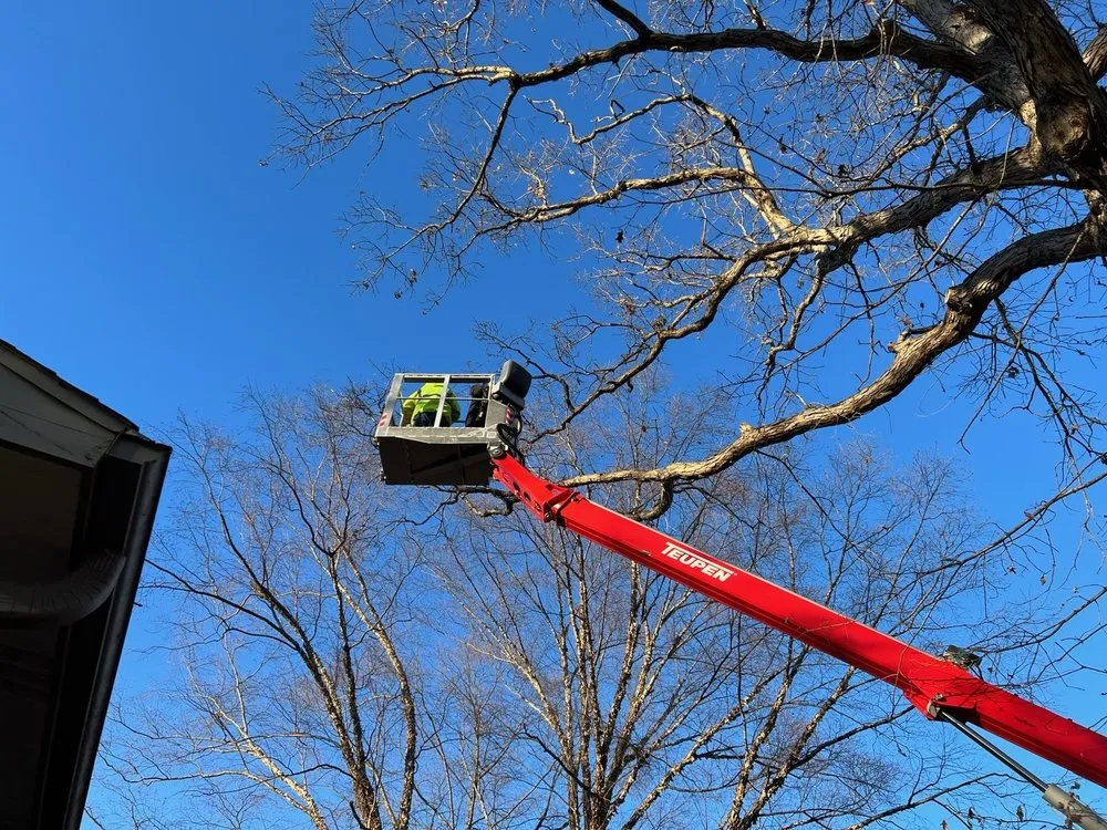 Slide of Elite Seamless Gutters