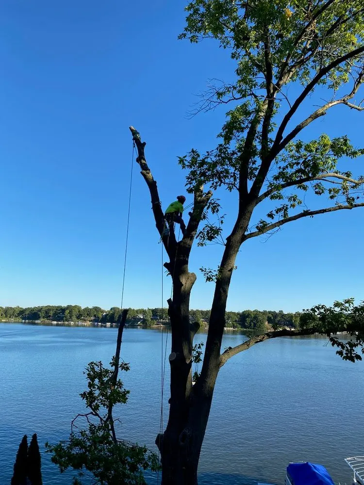 Slide of Elite Seamless Gutters