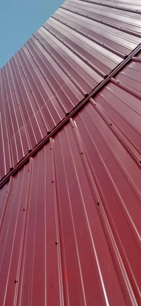 Top-rated shingle roofing service near you in East Galesburg, IL by Elite Tree Service Professionals