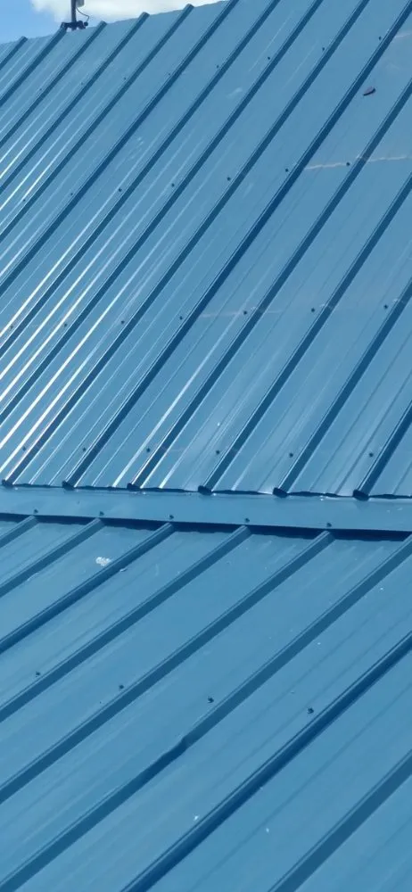 Expert roof inspection in East Galesburg, IL - Elite Tree Service Professionals