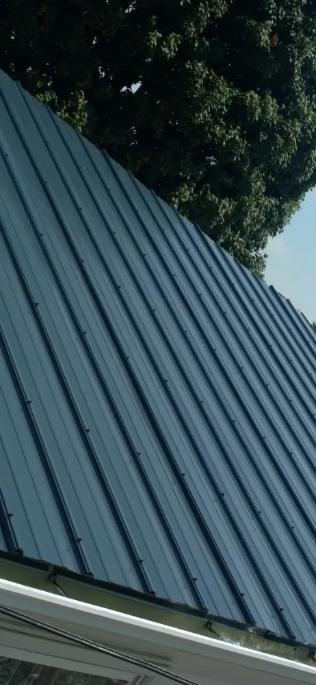 Licensed roof replacement experts serving East Galesburg, IL - Elite Tree Service Professionals