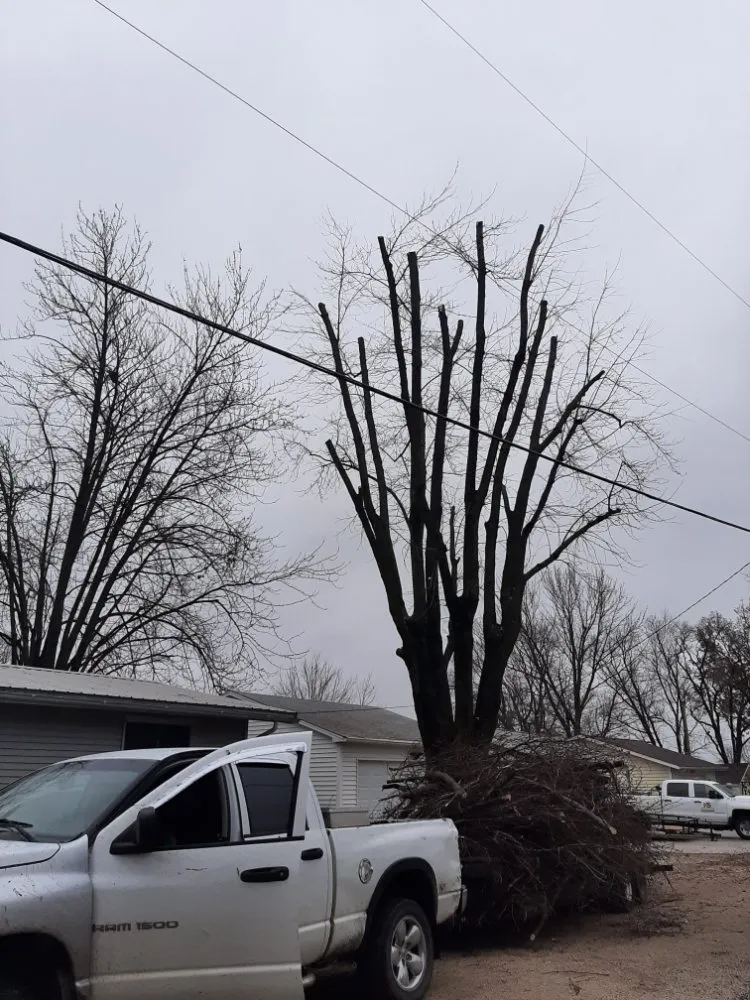 Emergency storm damage roof repair after storm damage across East Galesburg, IL - Elite Tree Service Professionals