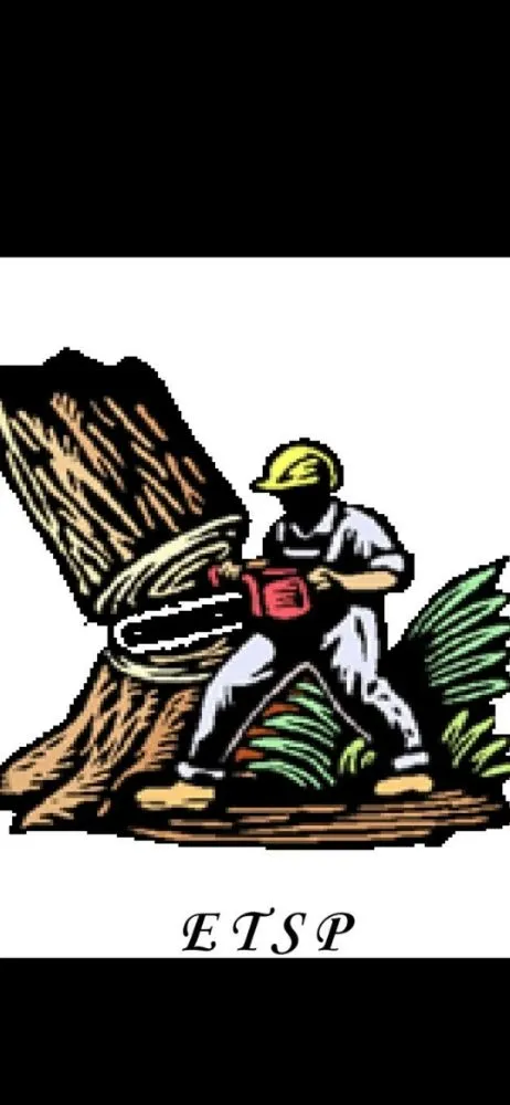 Top-rated flat roof repair for homes in East Galesburg, IL by Elite Tree Service Professionals