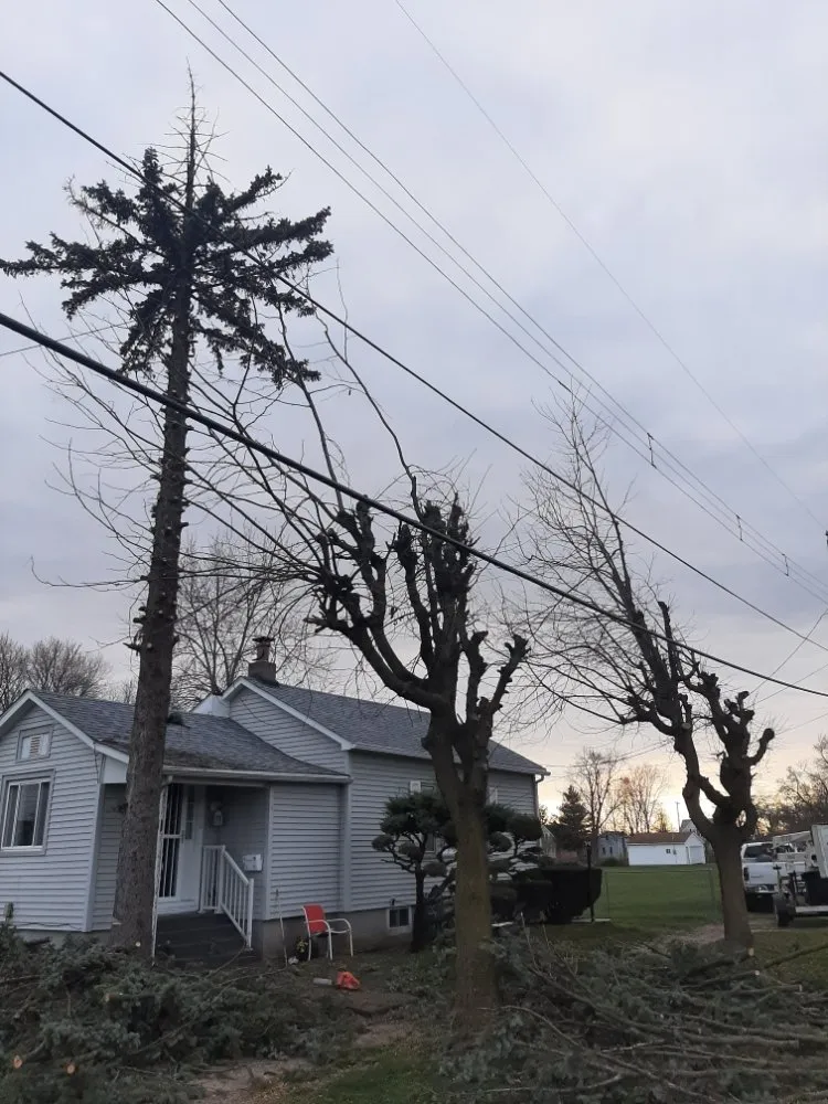 Emergency roof inspection near you in East Galesburg, IL by Elite Tree Service Professionals