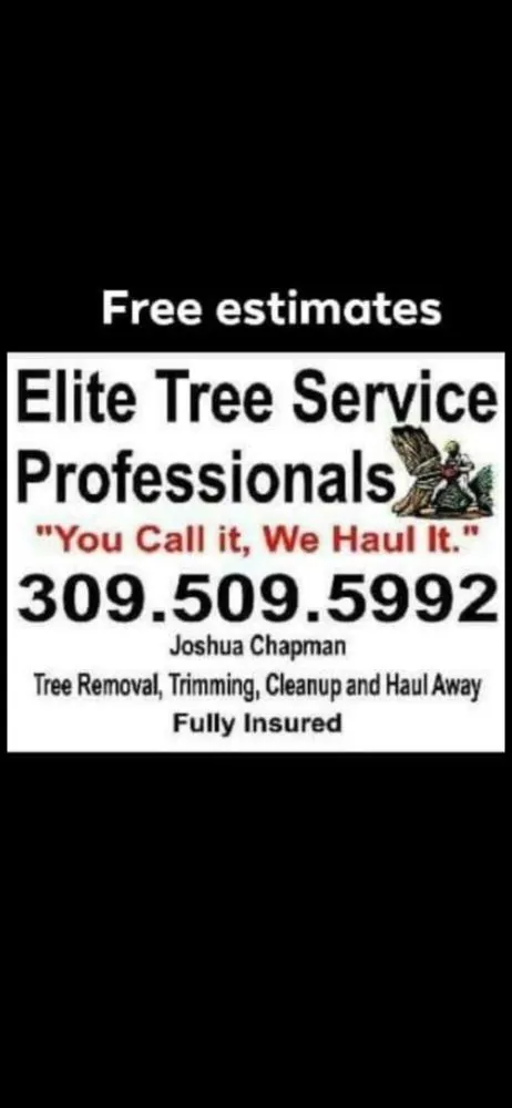 Expert roof replacement in East Galesburg, IL - Elite Tree Service Professionals