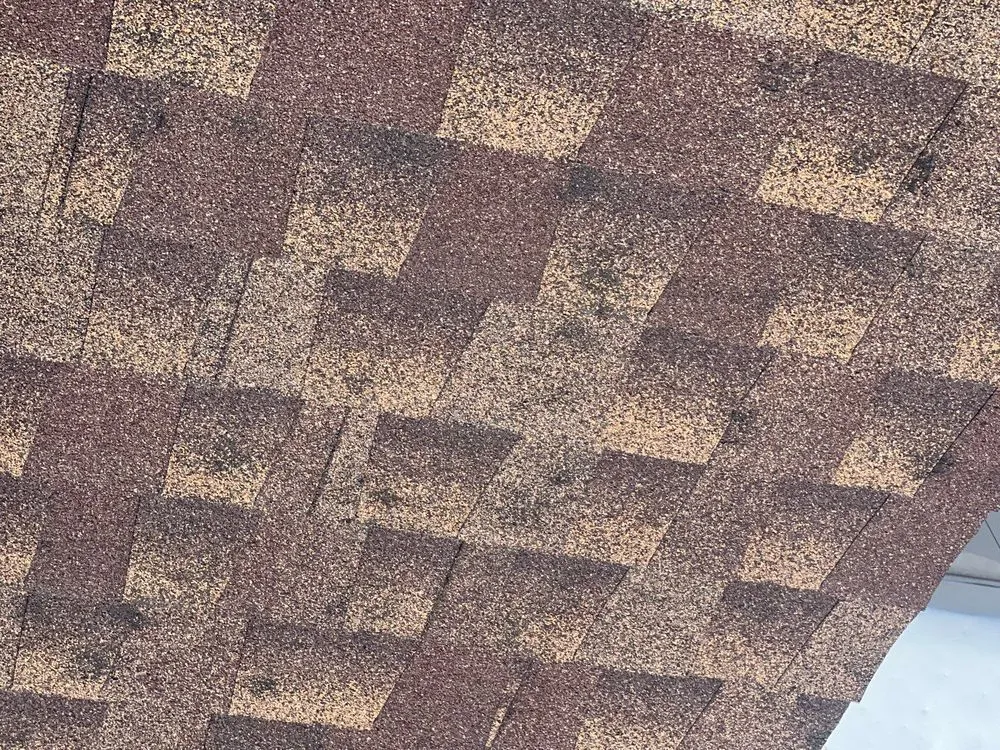 Slide of Elk Point Construction