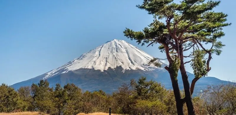 Slide of Elks Roofing & Construction