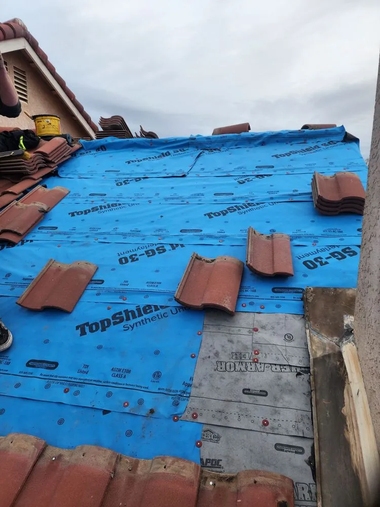 Slide of Ellis Repairs