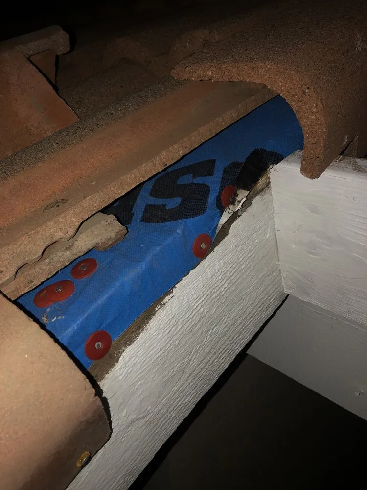 Slide of Ellis Repairs