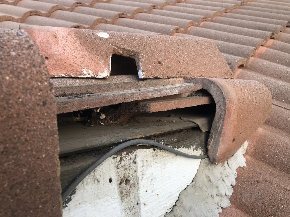 Slide of Ellis Repairs