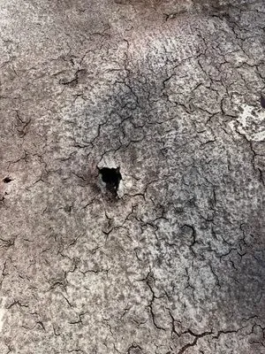 Elsner Roofing Service