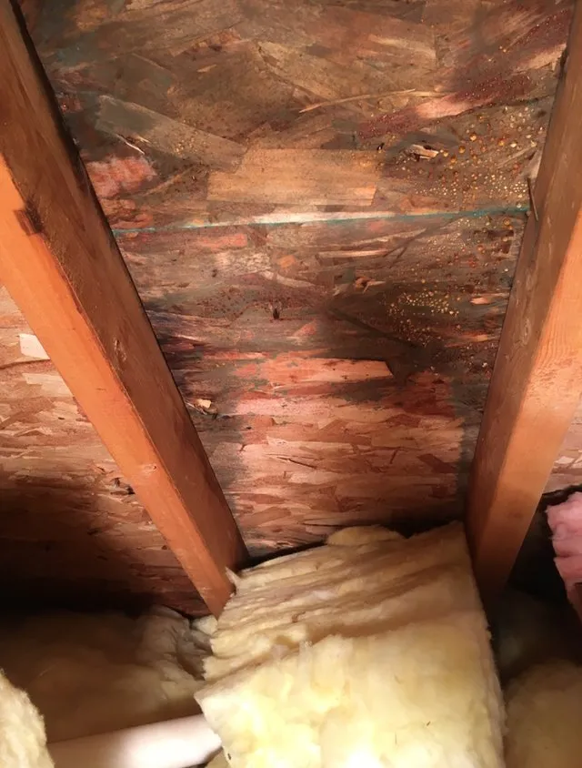 Slide of Elwell Construction