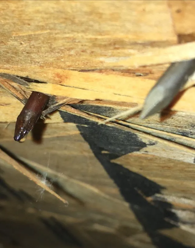 Slide of Elwell Construction