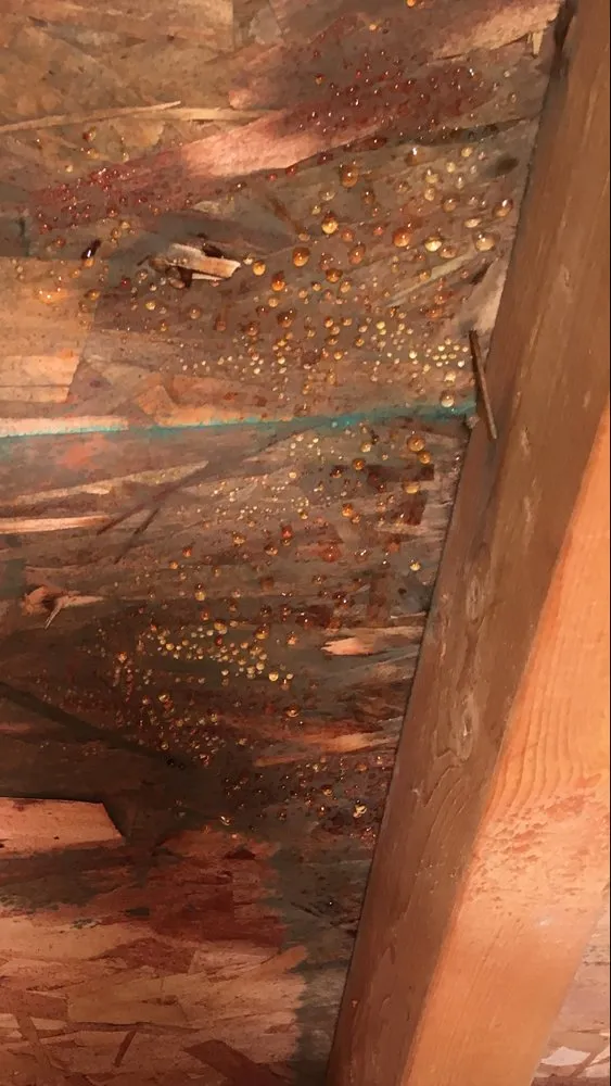 Slide of Elwell Construction